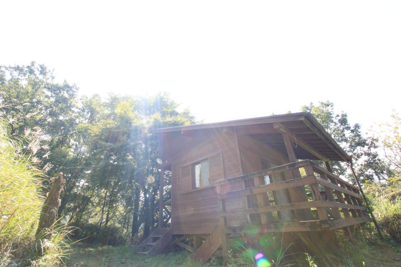 Gokase Campsite Camping And Guesthouse Luaran gambar